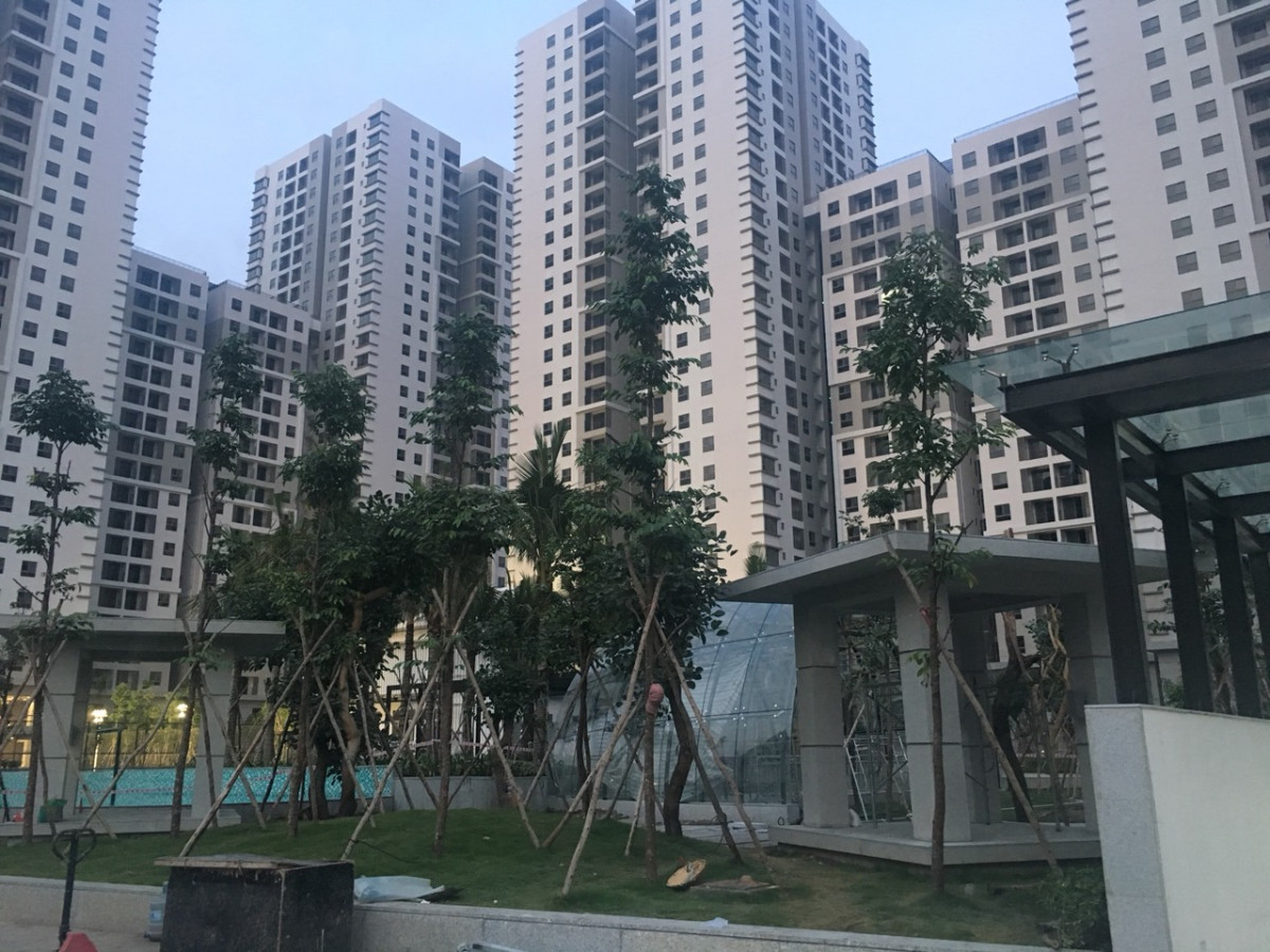 53030f40205fd901804e