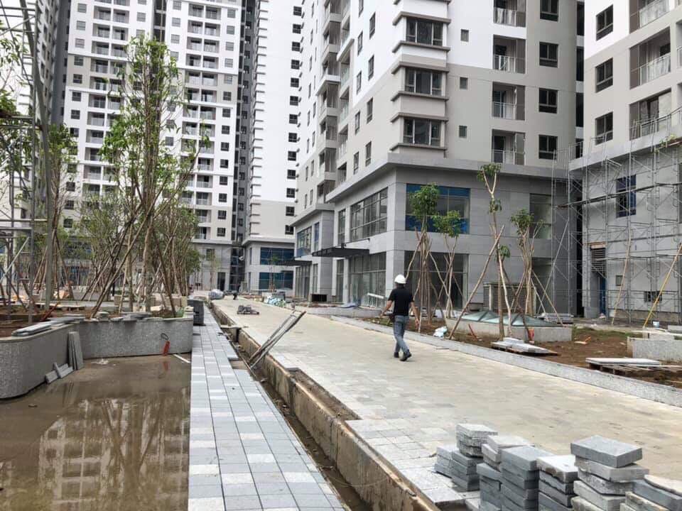 62a27af0678d81d3d89c