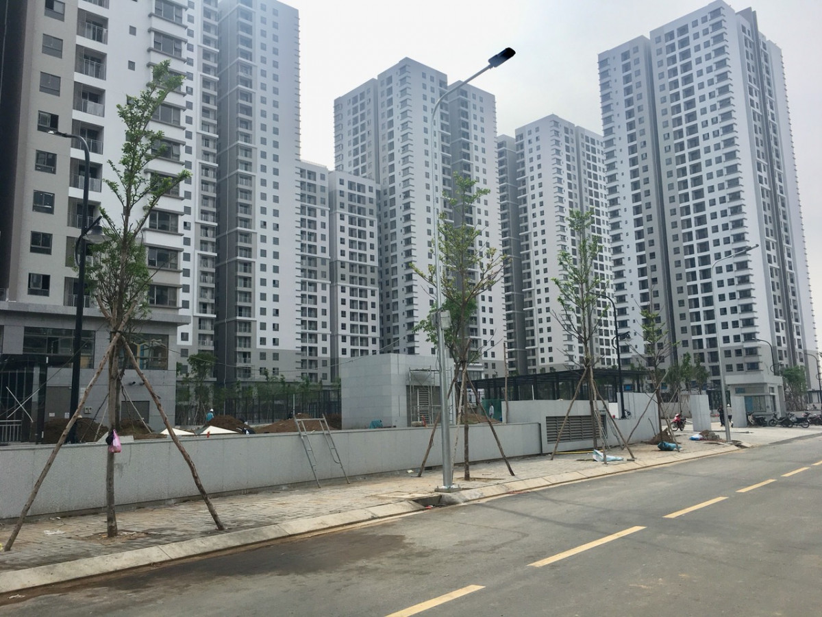 86fd19408020667e3f31