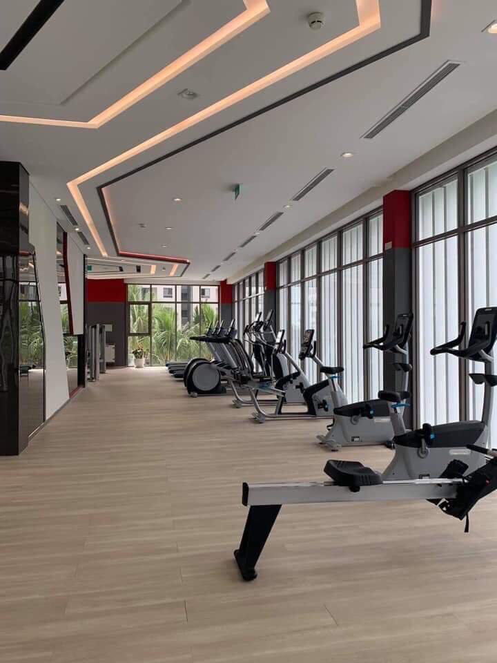 c1d988fd5de4a4bafdf5