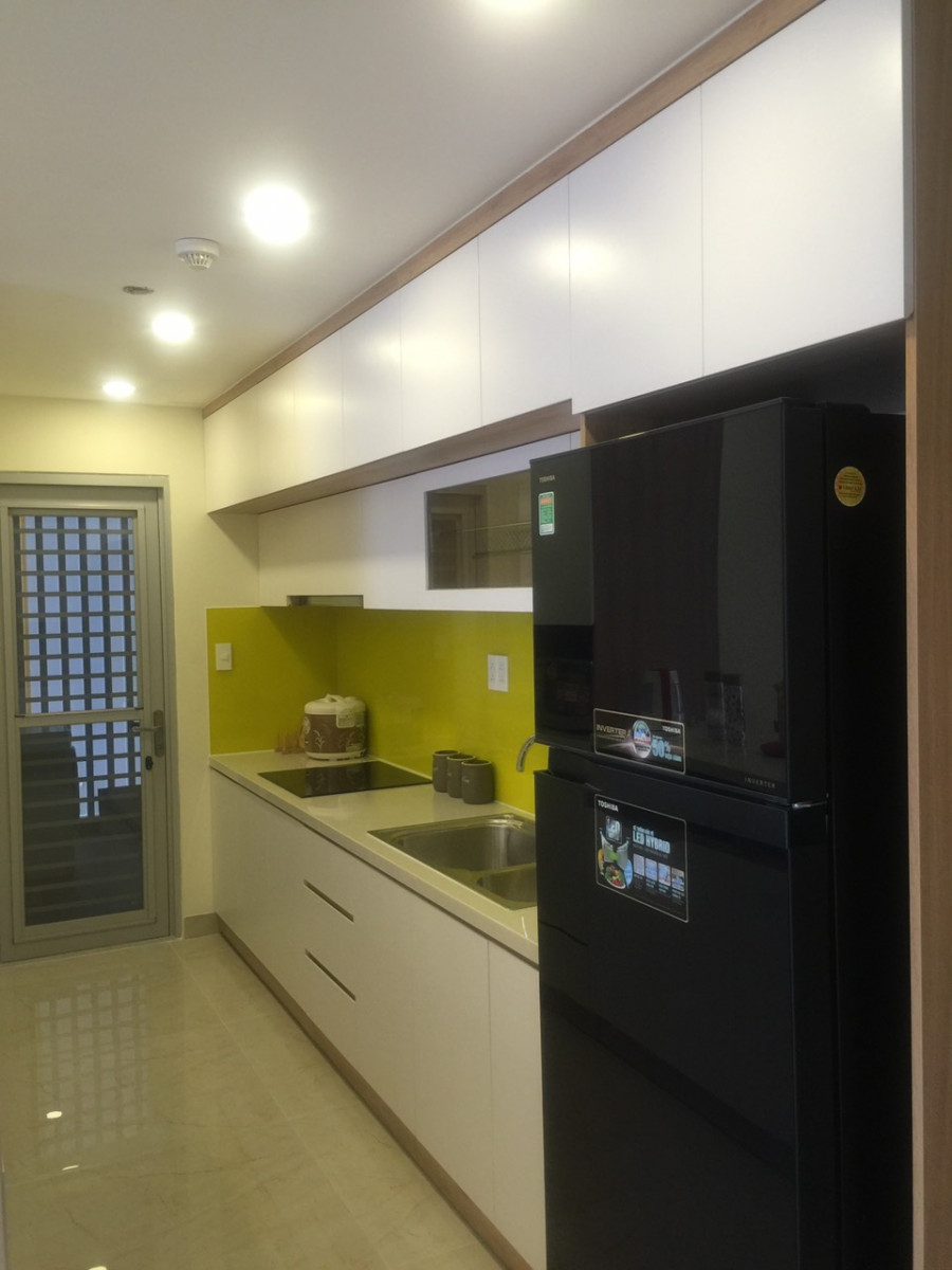 cho-thue-can-ho-chung-cu-scenic-valley-phu-my-hung-quan-7-ho-chi-minh (6)