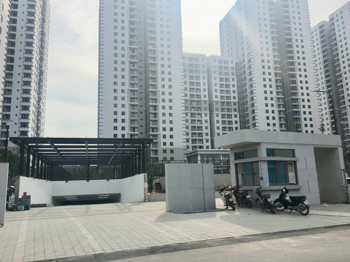 d11d5b95c2f524ab7de4