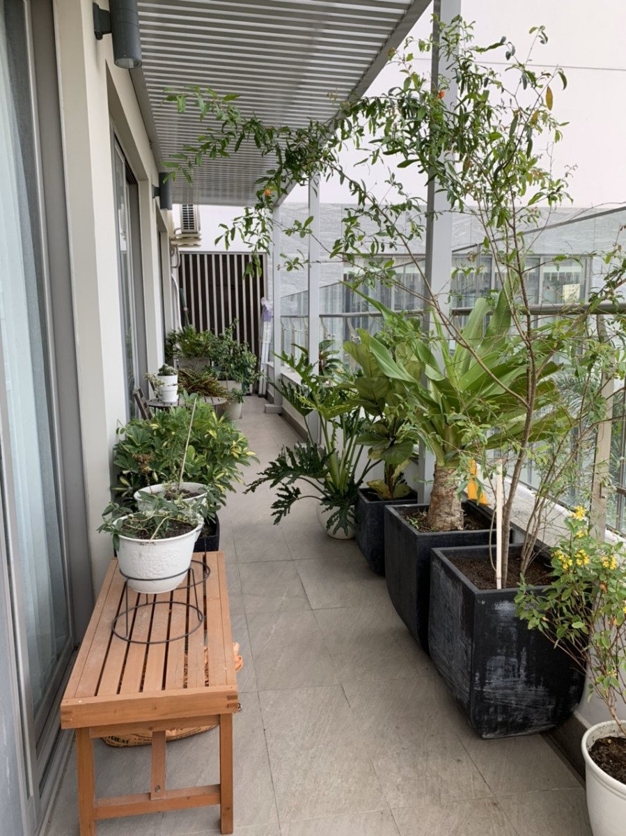 f23fd744697c9022c96d