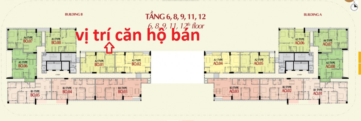 tang 6 8 9 11 12 B11.01