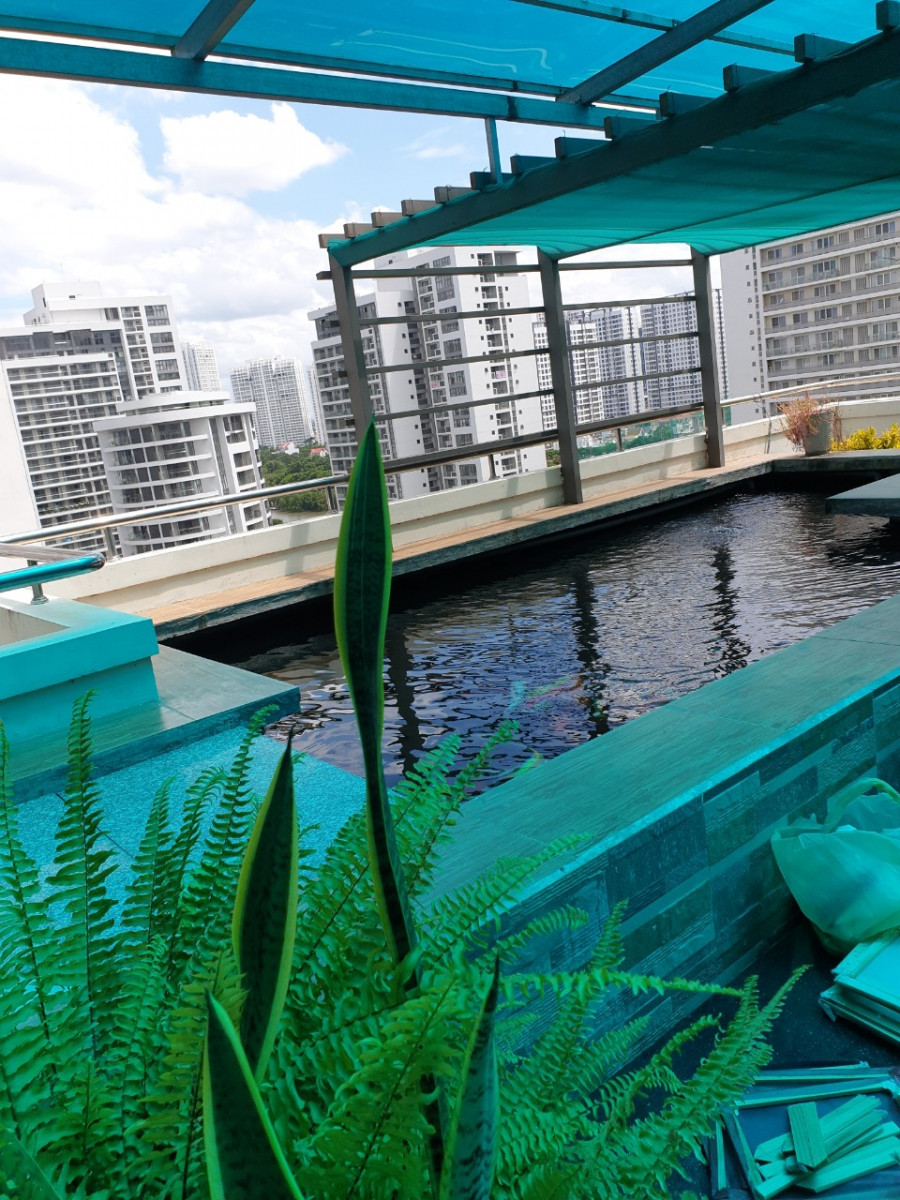 z1689629543780_e12ffe5797935fb41ae408ec1fa372dc