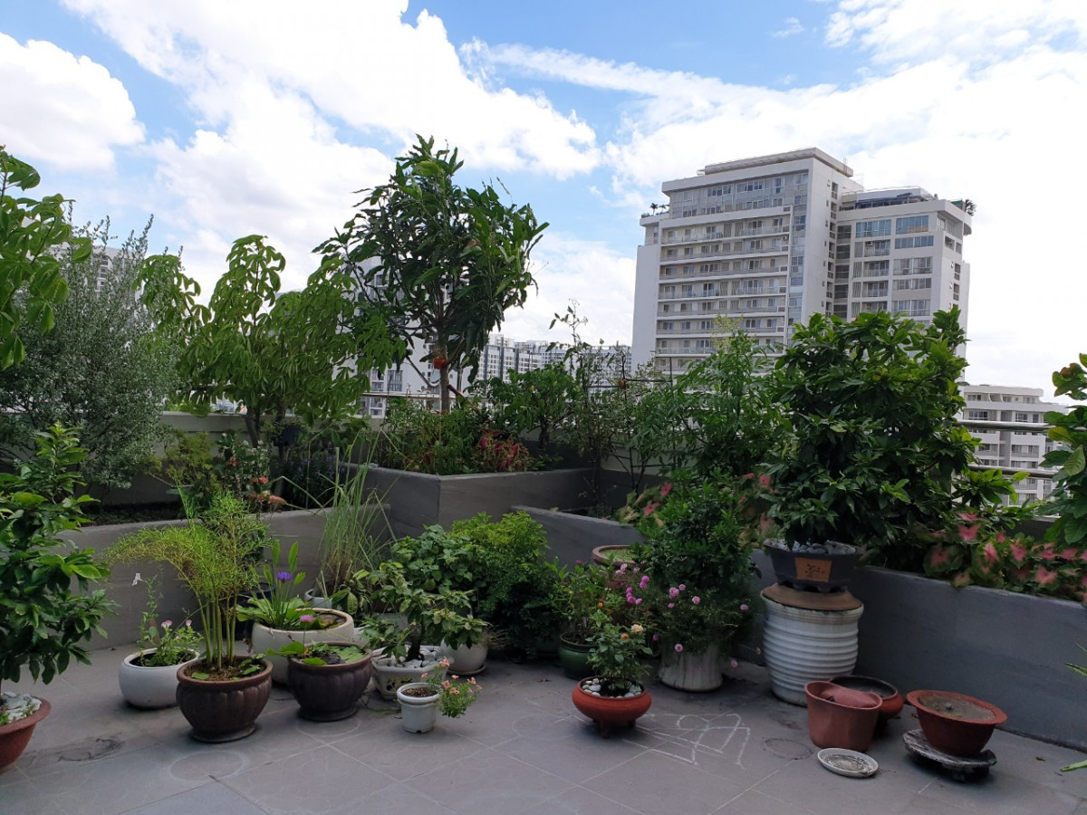 z1689629570437_32a146e4544138c6b285ab7b6f28bfb9