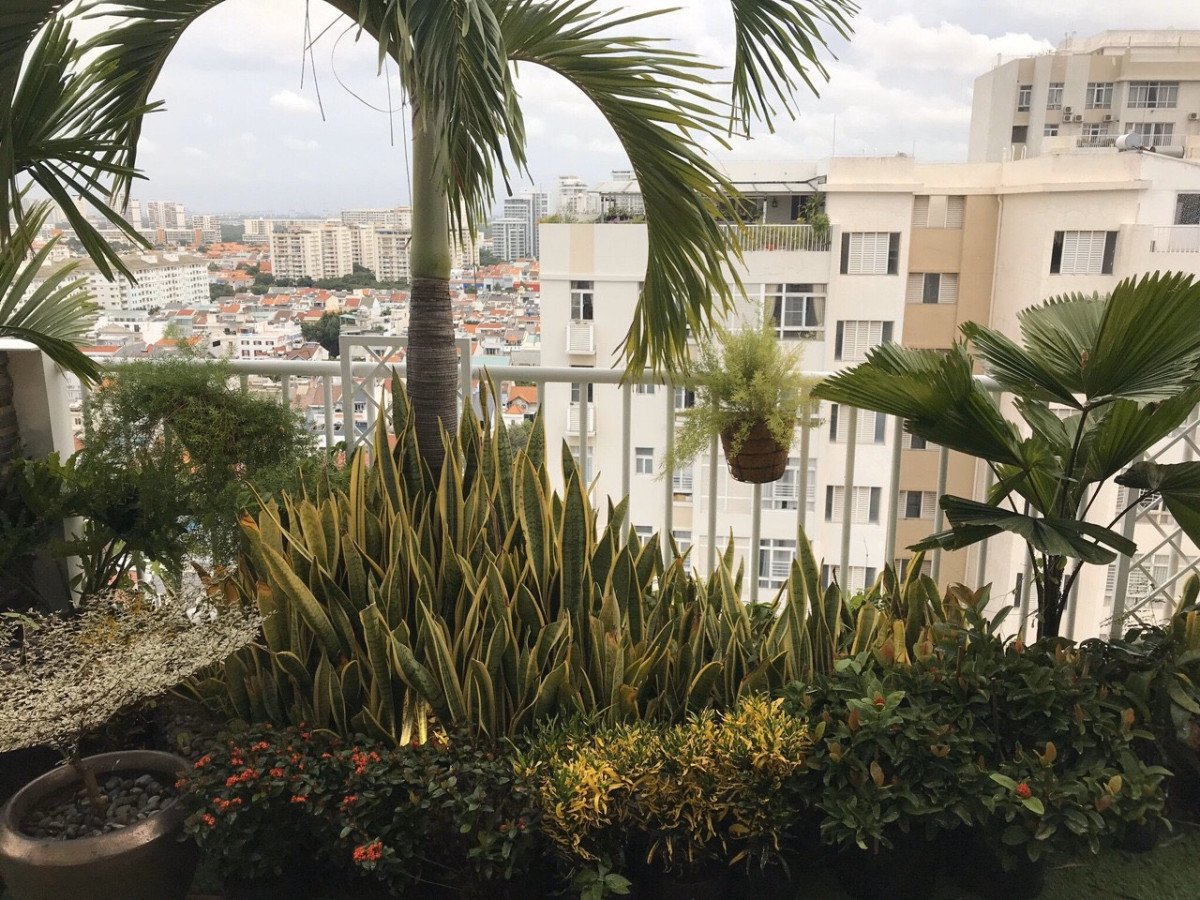 1c701a3108a3f0fda9b2