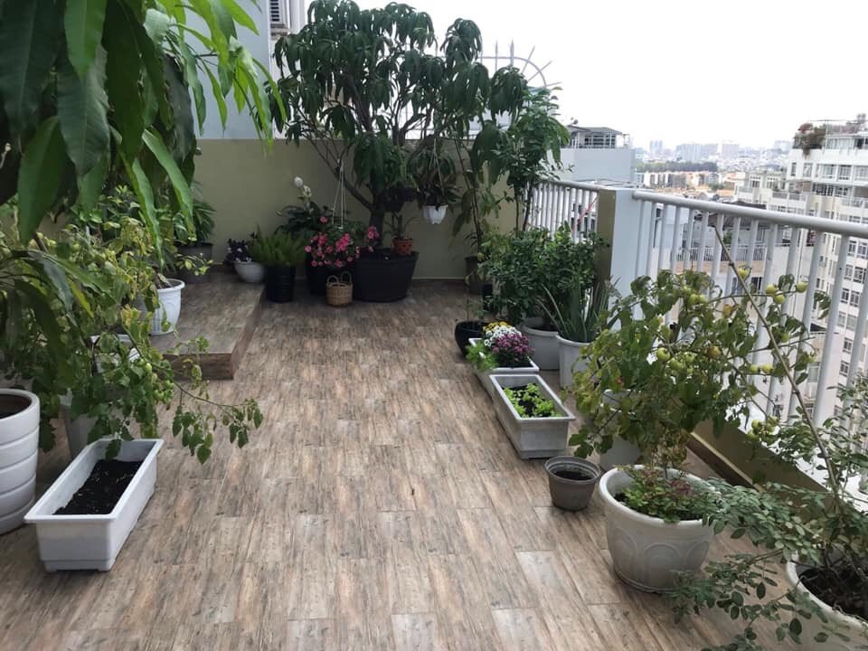 e2e24bd10441fc1fa550