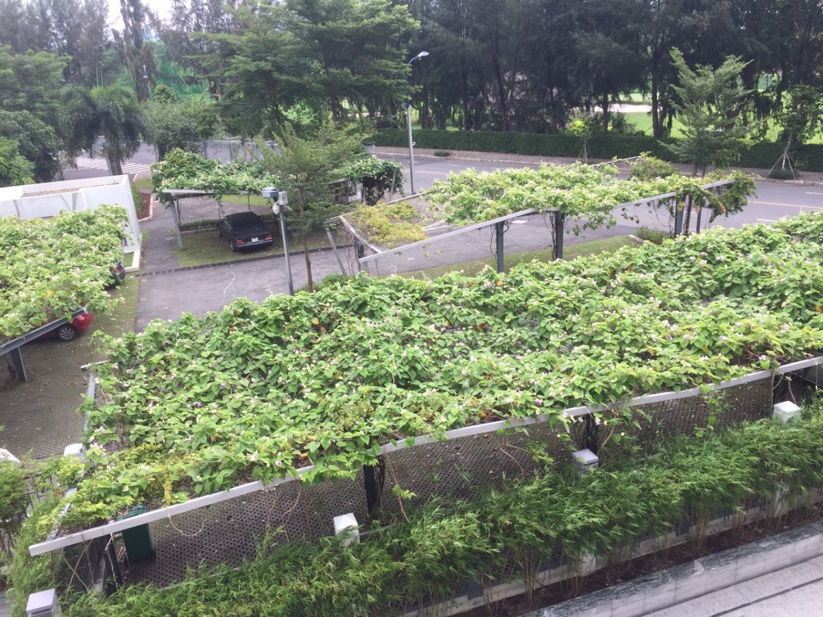 happy-valley-phu-my-hung (3)