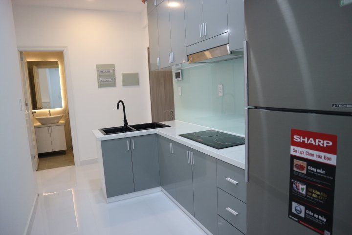 apartment-for-rent-in-saigon-south-residences-phu-my-hung (3)