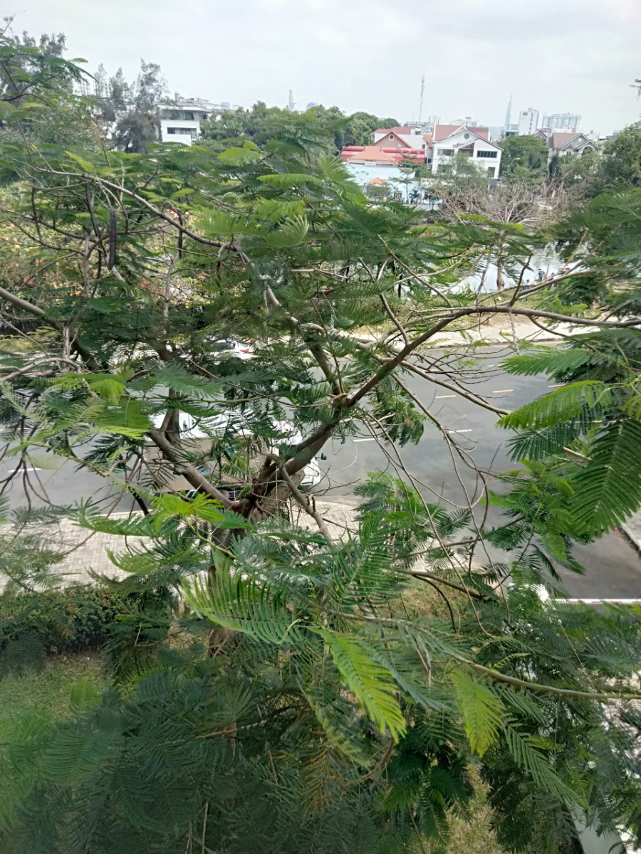 ban-can-ho-sky-garden (8)