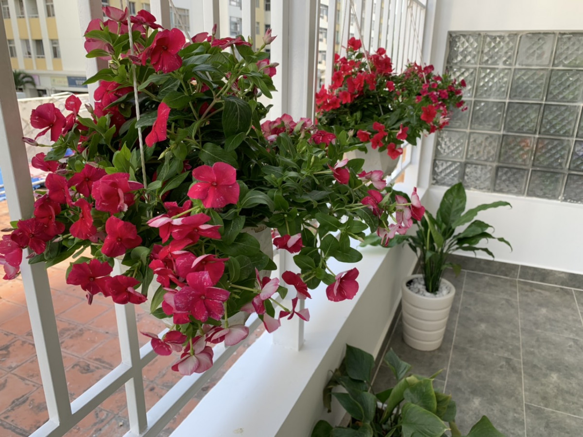 cho-thue-can-ho-sky-garden-phu-my-hung (2)