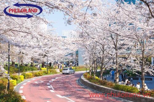 85b3949c47e4b7baeef5 - Bán Và Cho Thuê nhiều căn Hộ Midtown Phú Mỹ Hưng Quận 7 giá cạnh tranh nhất thị trường liên hệ Hotline 0909863032 Ms.Dung