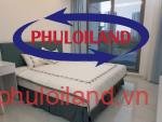 Ban-can-ho-chung-cu-Green-Valley-Phu-My-Hung-quan-7 (48)