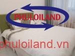 Ban-can-ho-chung-cu-Green-Valley-Phu-My-Hung-quan-7 (63)