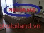 Ban-can-ho-chung-cu-Green -Valley-Phu-My-Hung-quann-7 (5) - Copy