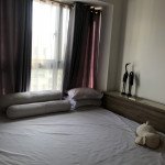 Ban-can-ho-chung-cu-Scenic-Valley-1-Phu-My-Hung-quan-7 (8)