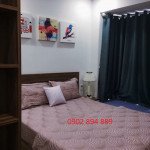 Ban-can-ho-chung-cu-Scenic-Valley-Phu-My-Hung-quan-7 (4)