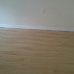 Ban-cho-thue-can-ho-chung-cu-Scenic-Valley-1-Phu-My-Hung-quan-7 (1)