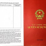 Ban-dat-biet-thu-nam-thong-dien-tích-lon-nhat-phu-my-hung (3)