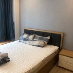 Cho-thue-bán-can-ho-chung-cu-Scenic-Valley-1-Phu-My-Hung-quan-7 (7) - Copy