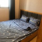 Cho-thue-bán-can-ho-chung-cu-Scenic-Valley-1-Phu-My-Hung-quan-7 (9)