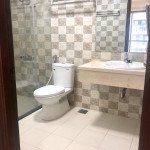 Cho-thue-can-ho-Green-Valley-Phu-My-Hung-quan-7 (7)