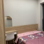 Cho-thue-can-ho-Green-Valley-Phu-My-Hung-quan-7 (8)