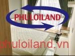 Cho-thue-can-ho-chung-cu-Scenic-Valley-1-Phu-My-Hung-quan-7 (1)