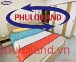 Cho-thue-can-ho-chung-cu-Scenic-Valley-Phu-My-Hung-quan-7 (8)