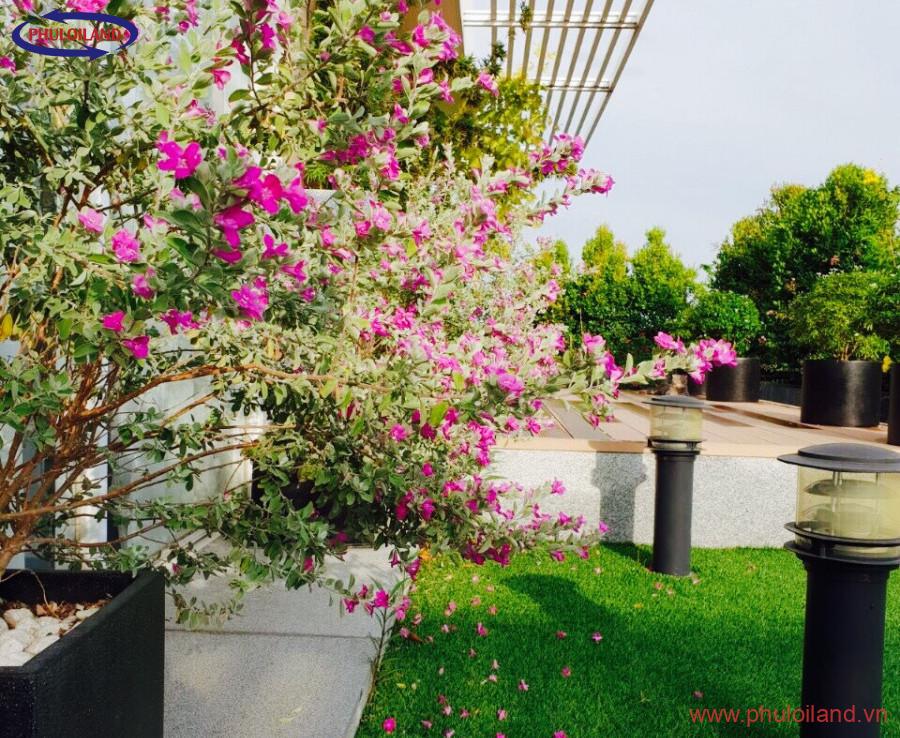 b1 900x738 - Cần bán PENTHOUSE RIVERPARK PMH quận7.Dtich 530m2 4PN + sân thượng,view sông và trung tâm q7.Giá 32 tỷ bao phí.0909733696 Thuỷ Tiên