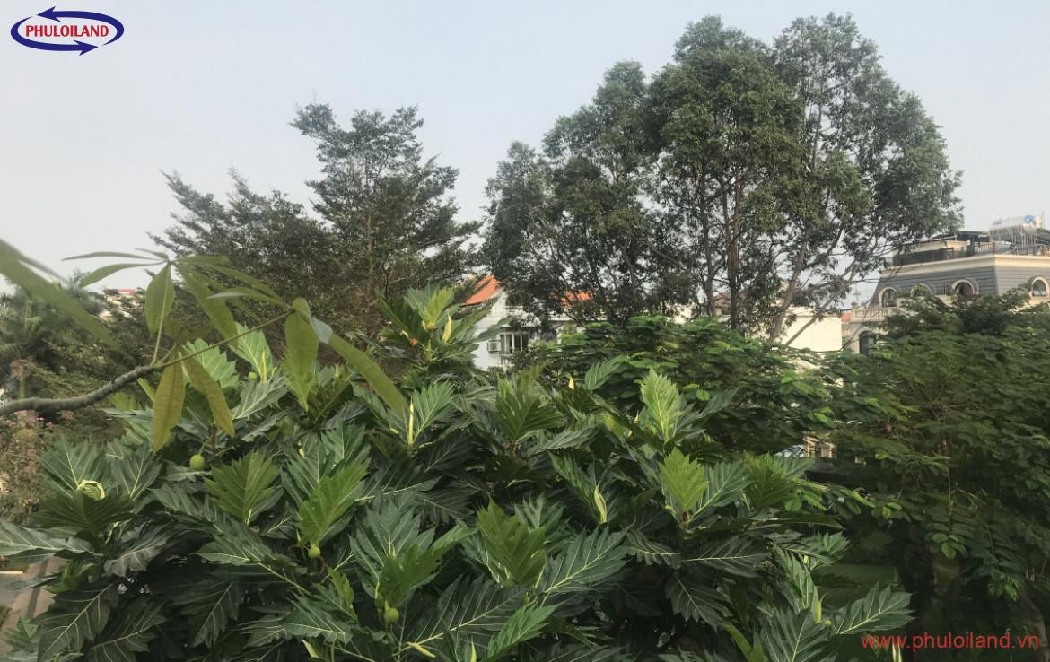 ban biet thu my thai 2 mat tien duong so 17 phu my hung quan 7 5 1170x738 - Bán biệt thự Mỹ Thái 2, Phú Mỹ Hưng, mặt tiền đường số 17