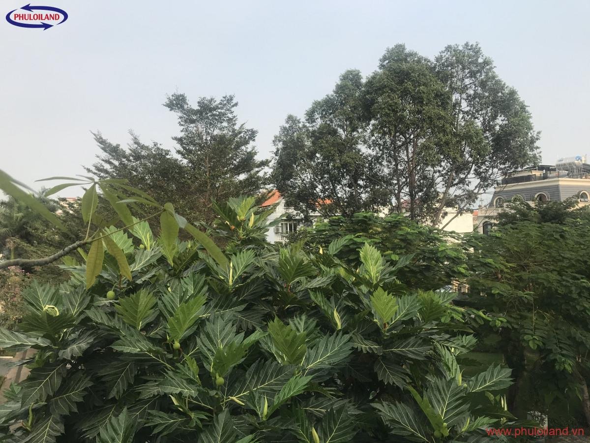ban biet thu my thai 2 mat tien duong so 17 phu my hung quan 7 5 - Bán biệt thự Mỹ Thái 2, Phú Mỹ Hưng, mặt tiền đường số 17