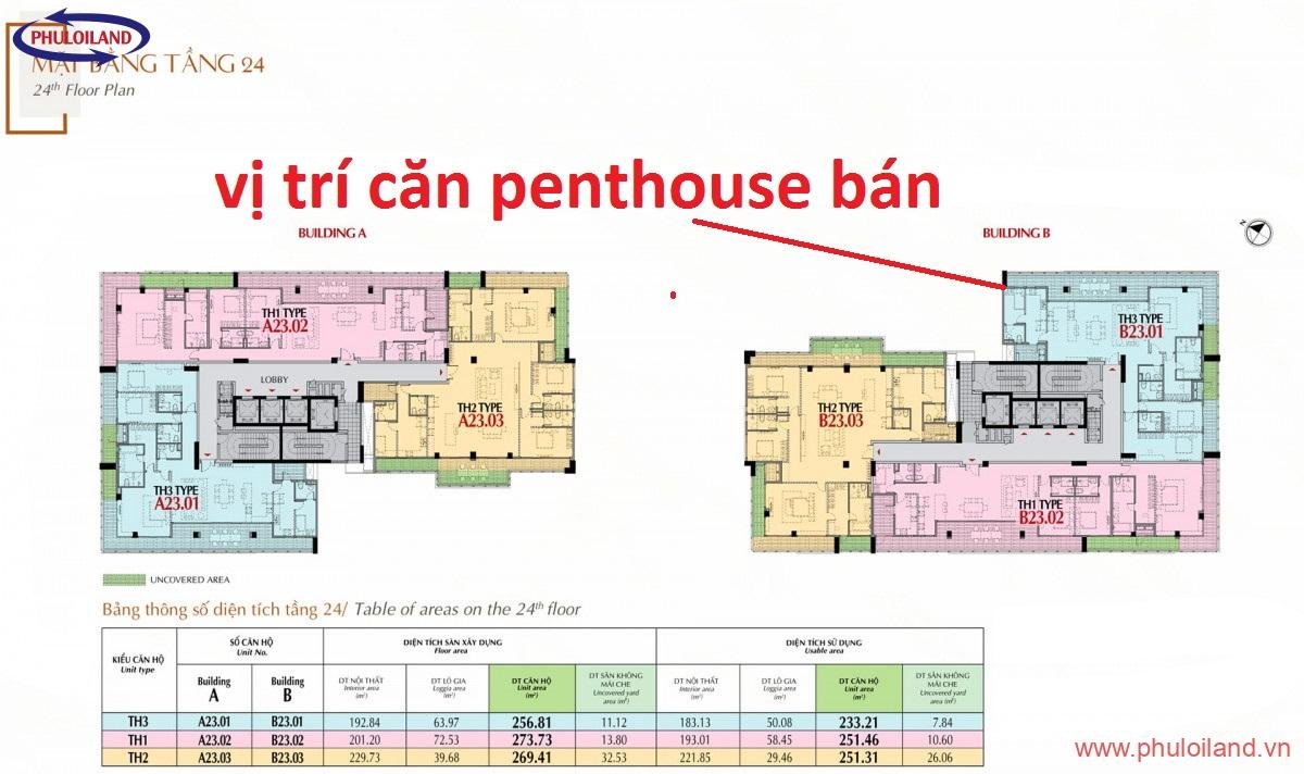 ban gia goc penthouse The Antonia gia tot 2 - Bán giá gốc Penthouse The Antonia Phú Mỹ Hưng đường Nguyễn Lương Bằng, dt 257m2, căn góc. LH 0902427307
