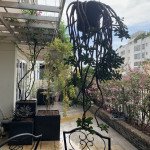 ban-penthouse-sky-garden-2-phu-my-hung-quan-7 (2)