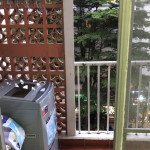 efd1474f0281f2dfab9028