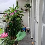 z2269191577201_835a606eb5c1fc9aa2bd5d369cd2b1ab (1)