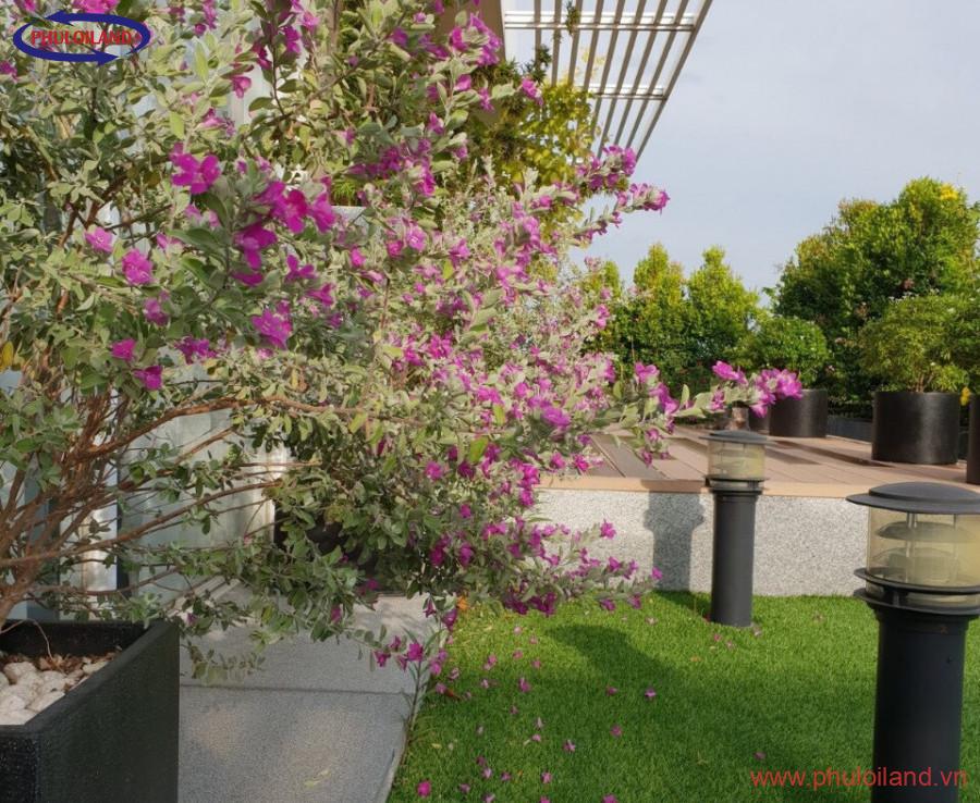 z2296485143668 fa74e149b94ba1b0b4d78c73bae9f3ad 900x738 - Bán Penthouse Riverpark diện tích 528 m2 4pn giá 32 tỷ tl Liên hệ 0909863032 Dung