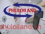 Cho-thue-can-ho-Scenic-Valley-1-Phu-My-Hung-quan-7 (10)