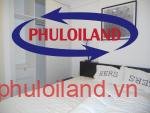 Cho-thue-can-ho-chung-cu-Scenic-Valley-1-Phu-My-Hung-quan-7 (22)