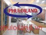 Cho-thue-can-ho-chung-cu-Scenic-Valley-1-Phu-My-Hung-quan-7 (3)