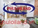 Cho-thue-can-ho-chung-cu-Scenic-Valley-1-Phu-My-Hung-quan-7 (7)