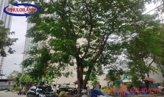 Bán gấp lô đất nền, góc 2 mặt tiền tại Làn Đại Học khu A, Nhà Bè, cách đường Nguyễn Hữu Thọ 100m