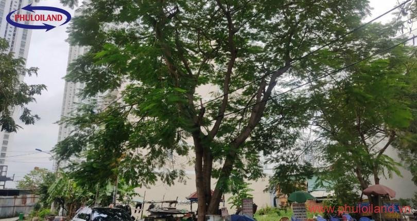 Bán gấp lô đất nền, góc 2 mặt tiền tại Làn Đại Học khu A, Nhà Bè, cách đường Nguyễn Hữu Thọ 100m