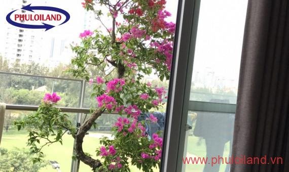 Cần bán SCENIC VALLEY PMH quận 7.Dtich 123m2 3PN.Nhà đẹp căn góc,view sân golf.Gía 7,3 tỷ bao phí.0909733696 Thủy Tiên