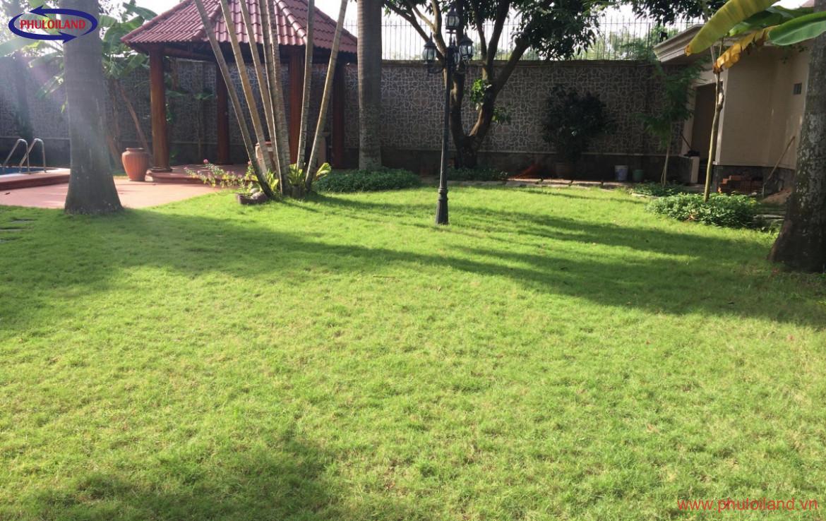 z2347809086283 414e38653763c26b1ba40a923235edc6 1170x738 - Bán Biệt Thự Thảo Điền Quận 2 dt 22*43 1 trệt 3 lầu 5 phòng Full Nội thất cao cấp sang trọng giá bán 172 tỷ Liên hệ 0909863032 Dung