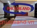 Cho-thue-can-ho-chung-cu-Midtown-The-Signature-Phu-My-Hung-quan-7 (11)