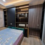 Cho-thue-can-ho-chung-cu-Midtown-The-Signature-Phu-My-Hung-quan-7 (3)