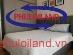Cho-thue-can-ho-chung-cu-Scenic-Valley-1-Phu-My-Hung-quan-7 (4)
