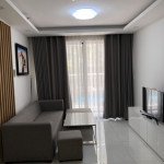 Cho-thue-can-ho-chung-cu-Scenic-Valley-1-Phu-My-Hung-quan-7 (5)